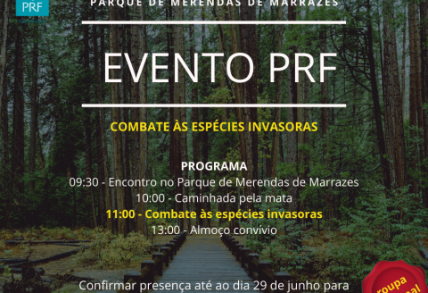PRF fights invasive species in the Marrazes Forest